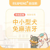 华北直播专享丨中小型犬免麻洁牙 中小型犬免麻洁牙